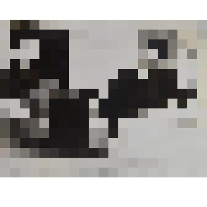 Фотография. Фото ч/б. Шаукат Галиев в Кайбицкой средней школе. 1958 г