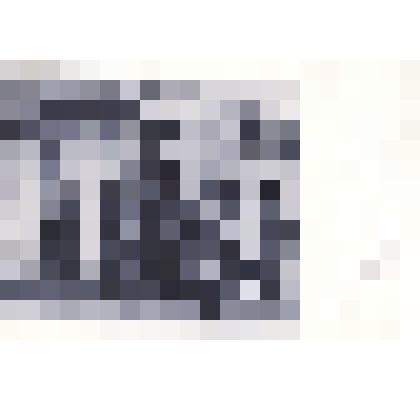 Фотография: П.А.Столыпин и А.В.Кривошеин в п.Славгороде осенью 1910 г. Копия