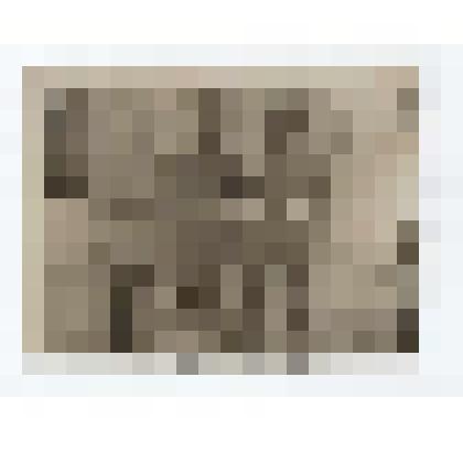 Фото/чб. Майор Костин И.С., зам. нач-ка по политчасти армейского полевого госпиталя 5264 (справа) с однополчаниами в дни победы /ВОВ. Германия. 1945