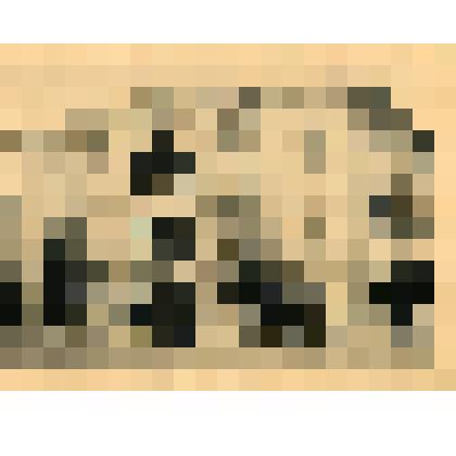 Лист. Гостинница Кист. Из альбома "Виды Севастополя"