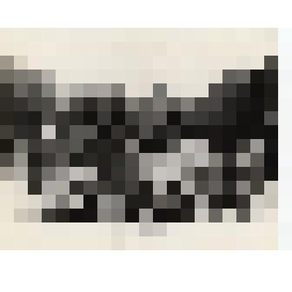 Фотография. Гребенщикова Анна Васильевна в группе ветеранов войны в г. Минске