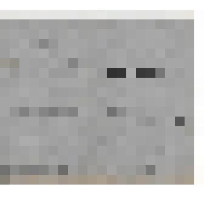 Документ. Программа к спектаклю "Криминальное танго" по произведению Э.Раннета Кинешемского драматического театра имени А.Н.Островского.   Из коллекции материалов по истории Кинешемского драматического театра им. А.Н. Островского (1920-е гг. -1990-е гг.)