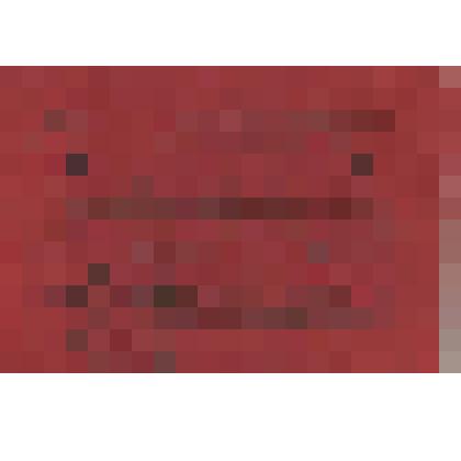 Фотография. Мандат № 19 М.К. Ахпашева избранного делегатом XXVI Абаканскую городскую партконференцию на картоне красного цвета