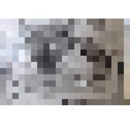 Фотография. Дети за работой