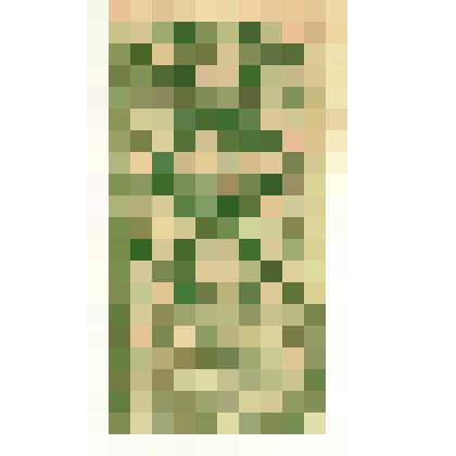 Марки почтовые. Марка почтовая. 20 коп. (зеленый). "Гербовая марка" с надписью Батумск. области