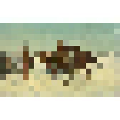 Репродукция картины П.О. Ковалевского "Встреча". Открытка