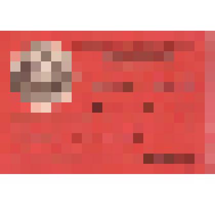 Мандат Филипповой Александры Константиновны