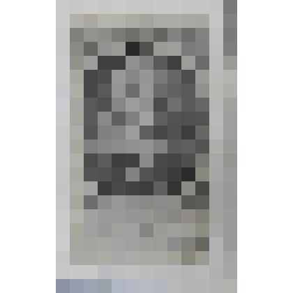 Портрет хирурга Петруса Диониса