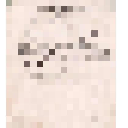 Письмо от Николая Петровича Алина в г. Архангельск  Андрею Осиповичу Белявскому об отправке продуктов на Печору