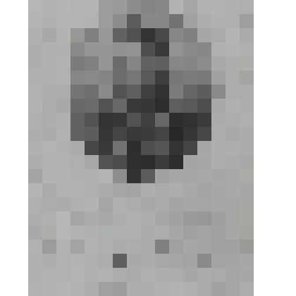 Портрет прусского генерала Гейзенау