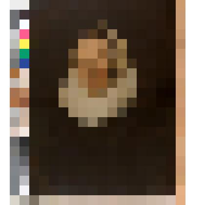 Портрет неизвестной