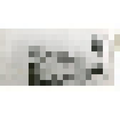 Фото (копия) удостоверение к медали