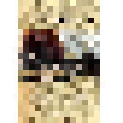 Каталог выставки "Россия-Германия: на перекрестке культур. "Немецкий дух" в Радищевском музее"