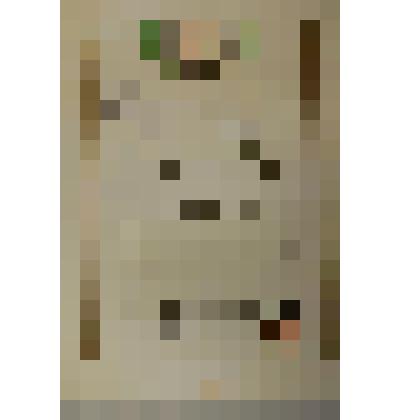 Грамота почетная. Логутову А. - открытому чемпиону Японии, занявшему II место