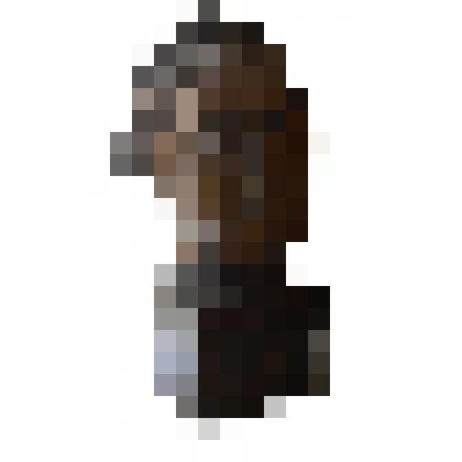 Голова Петра I