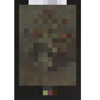 «Калина красная»