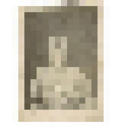 Фотография Солдатова Н.Е