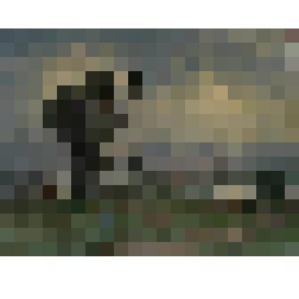 Пейзаж с мельницей