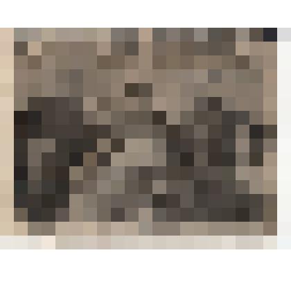 Ф/чб. Андреева (Гуськова) Елизавета Федоровна (сидит справа), ефрейтор 133 ОТБ, с однополчанами. Германия? 1945