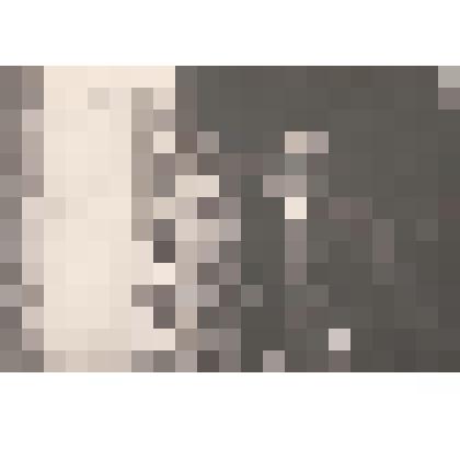 Фотография. Кассиль Л.А