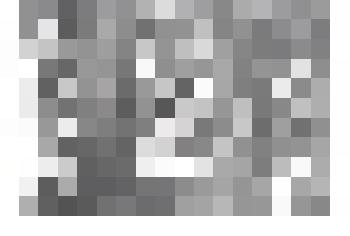 Фотография. Фотокопия. Оперативно-розыскное управление. г.Барабинск. 1932г