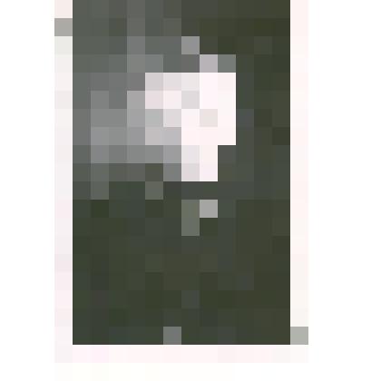 Фотография: Кисельман, бригадир плотников СМП-302 г.Камень-на-Оби Алтайского края