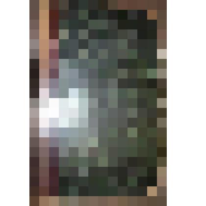 Книга. Дворцовые разряды. - Том первый. 1612 - 1628 г. - С.-Петербург, 1850 г