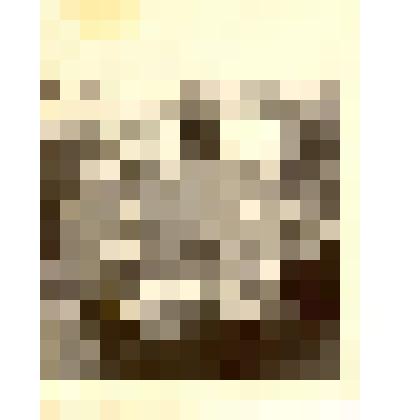 Фотография: демонстрация 1 мая 1961 года в г.Камне-на-Оби Алтайского края