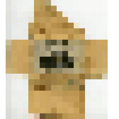 Фотография Обложка