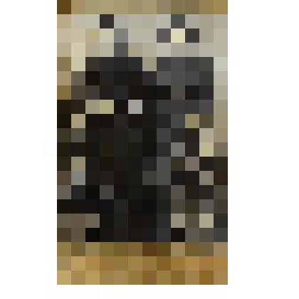 Фотография. Крестьянки села Коломенского Московского уезда