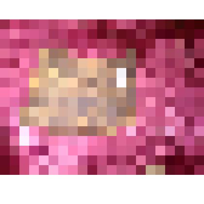 Магазин самозарядной винтовки