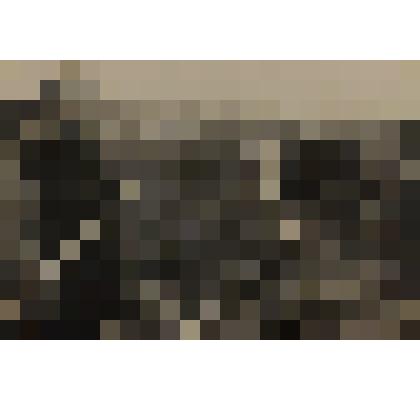 Фото.Бригадир Прищепов на работе в колхозе "сто". 1943 г