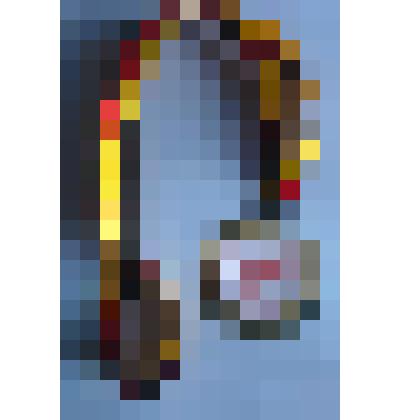 Медаль. XXIII Международный Чемпионат по плаванию