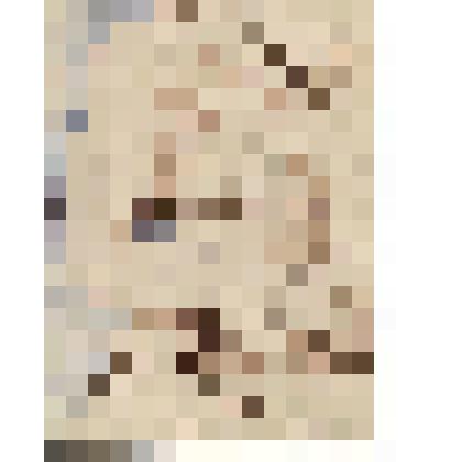 Фрагмент немолодой женщины