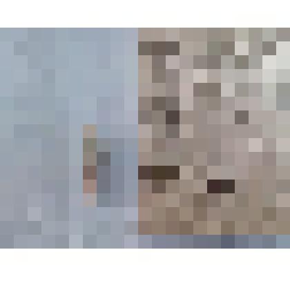 Игла морского ежа