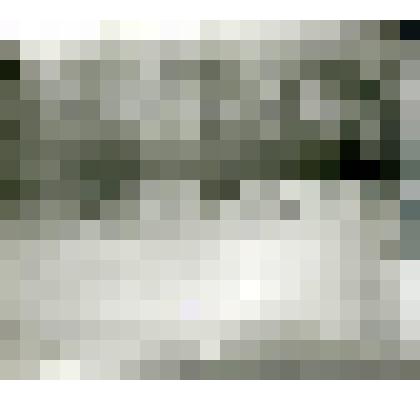 Фотография. Белковщик на весенней промысел