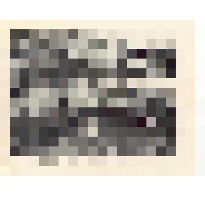 Фотокопия. Соха, сучковая борона, подсанки, колеса, вилы, грабли ("Жизнь и быт крестьян Олонецкой губернии конца ХIХ - начала XX вв."). Из комплекта: Фотокопии фотографий из книги "Полное географическое описание нашего Отечества" под редакцией П.В. Семено