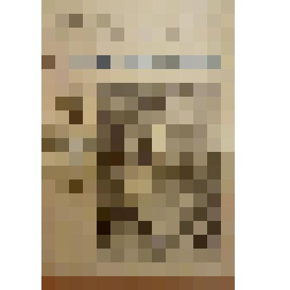 Книга. Спири Г. О чем поют птички [Text] / Перевод с немецкого Е. К / Издательство не указано. - М., 1901 (Типография Вильде)