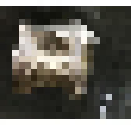 Позвонки древних рыб. Окаменелость