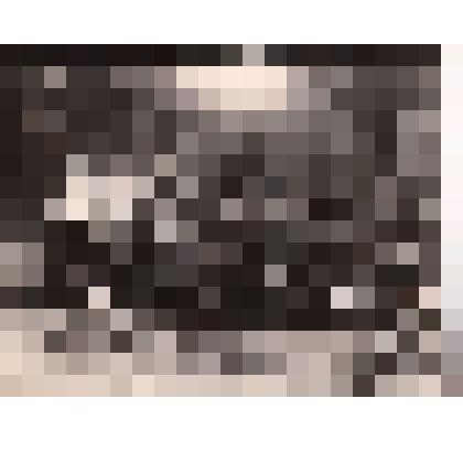 Фото «Собрание комсомольского актива»