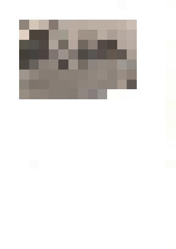 Фотография ч/б. Механизированный ток с. Вылкова. Уборка урожая. 1966 г