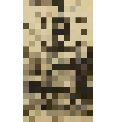 Монотипия. Исаакий. Ленинград