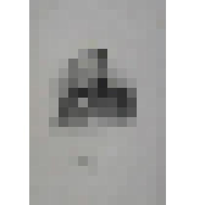 Портрет. Греч Николай Иванович