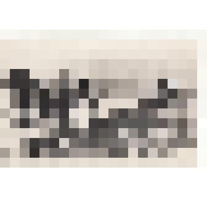 Фото/чб. Энгельсская опытно-мелиоративная станция. Боронование почвы. Энгельс. 1960-1970