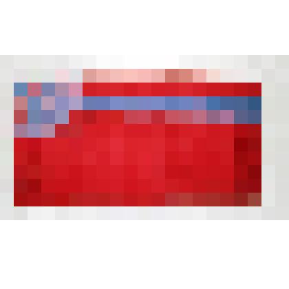 Знамена, флаги, вымпела. Флаг Грузинской Советской Социалистической Республики. Красного цвета. В верхнем левом углу символ солнца голубого цвета, окантованного по контуру белой узкой полоской. В центре солнца изображение пятиконечной звезды, серпа и моло