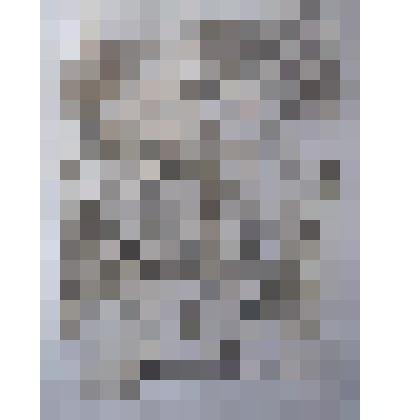 Лель и Купава