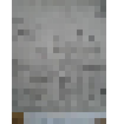 Фотография (копия). Проект Богоявленского собора 1848-1849 г.г.  Архитектор  М.А. Михайлов. Разрез