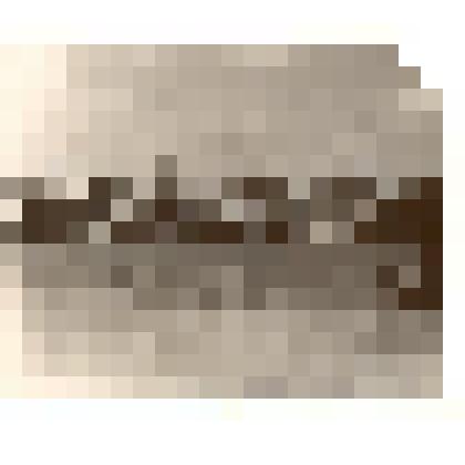 Фотография: вторая межрайонная выставка племенных коней в г.Камень-на-Оби Алтайского края