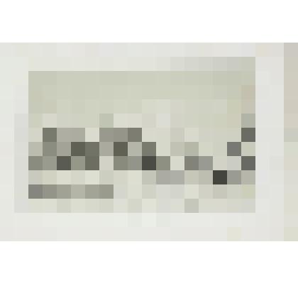 Литография. "Костромская губерния. Деревня. Между Костромой и Ярославлем."