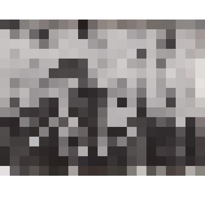 Фото Открытие Тоншаевского краеведческого музея. Митинг